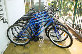 A row of blue bicycles