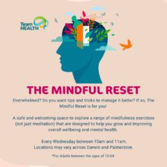Team Health Mindful Reset Group
